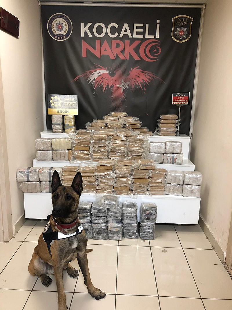 Narkotik Köpeği Talisca uyuşturucuya geçit vermiyor