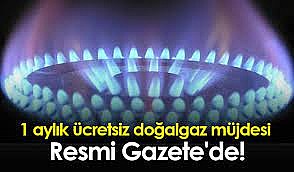 Bir ay ücretsiz doğal gaz kararı Resmi Gazete'de yayımlandı