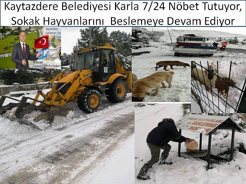Kaytazdere Belediyesi Karla Mücadeleye Devam Ediyor ve Sokak Hayvanlarını da Besliyor