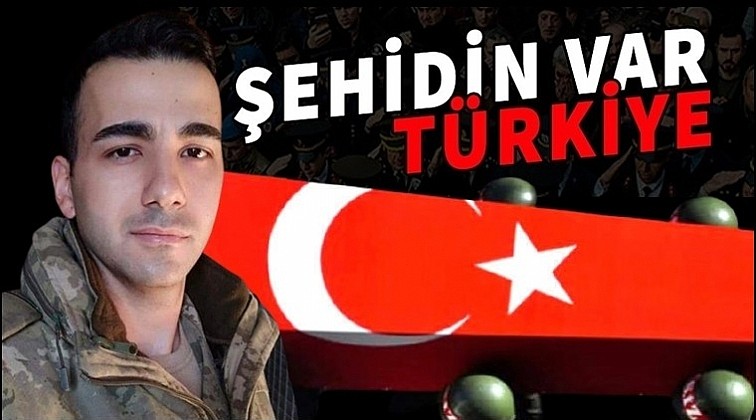 Şehit ateşi Yalova'ya düştü	