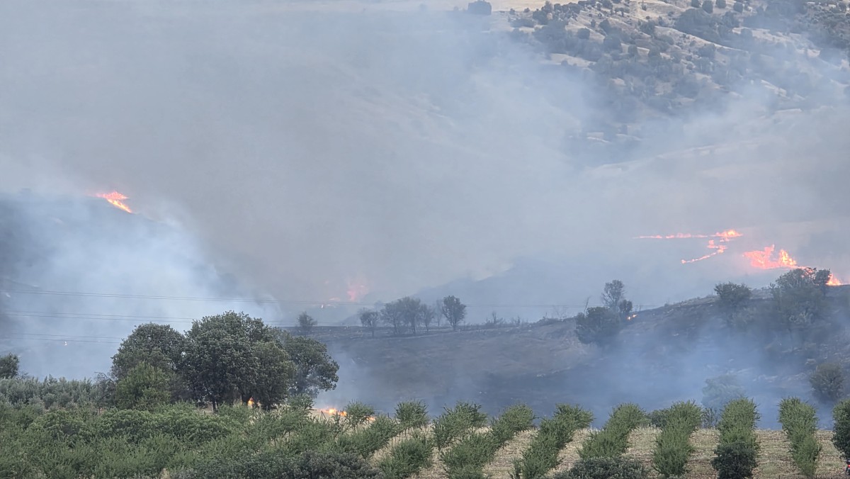 Kahta’da tarlada korkutan yangın
