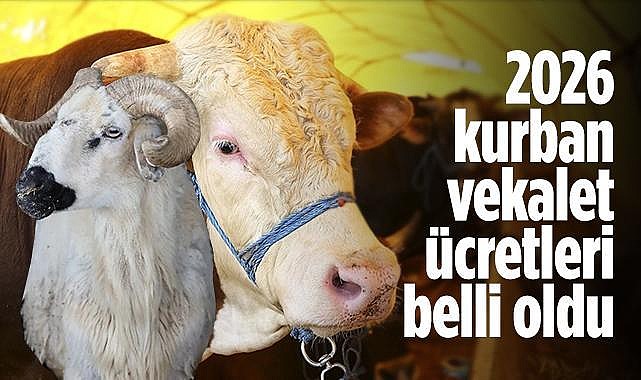 Kurban kesim ve çekim fiyatları belli oldu!