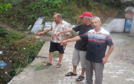 Karamürsel'de mahalle sakinleri hastanelik oldu