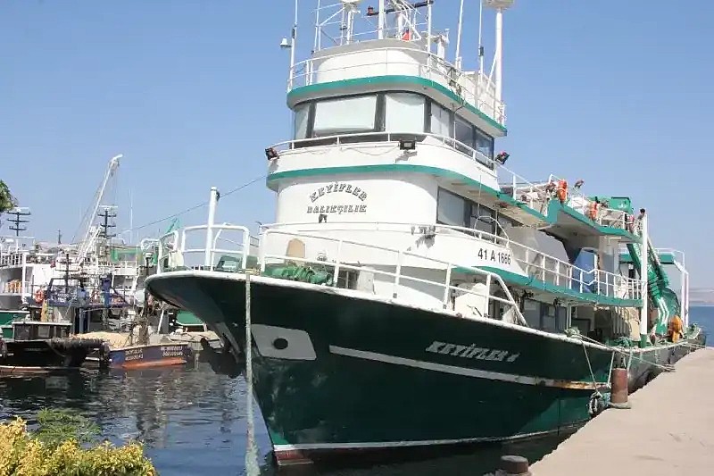 Büyükşehir’den Karamürsel Ereğli Limanı Hamlesi! Liman Yenilenecek	