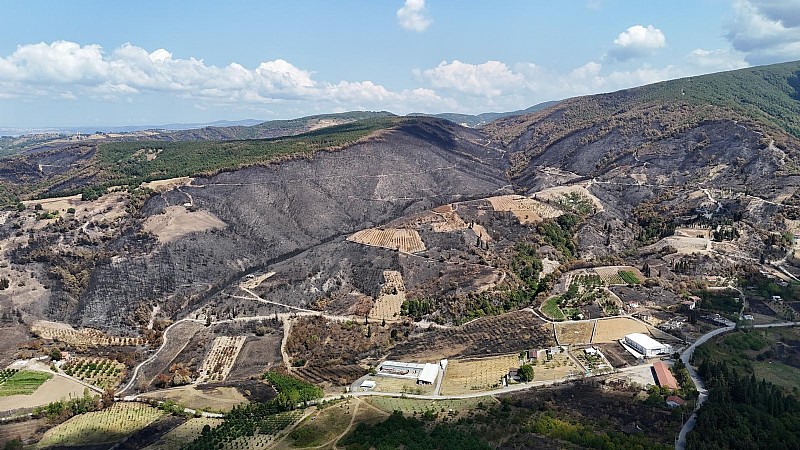 Karamürsel’de yanan ormanlık alana ne yapılacak?