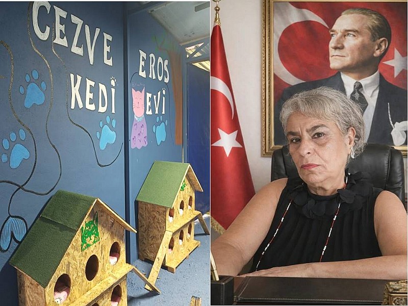 Karamürsel’de Sokak hayvanları için örnek proje