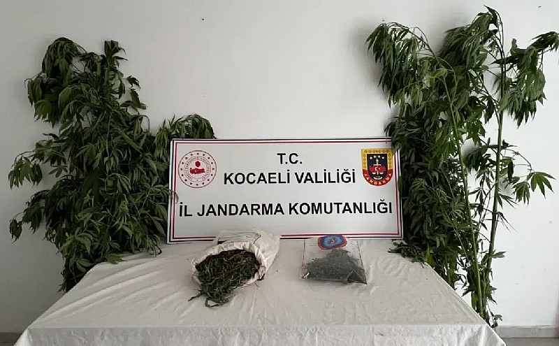 Karamürsel, İzmit ve Gölcük  ilçelerinde uyuşturucu operasyonu	