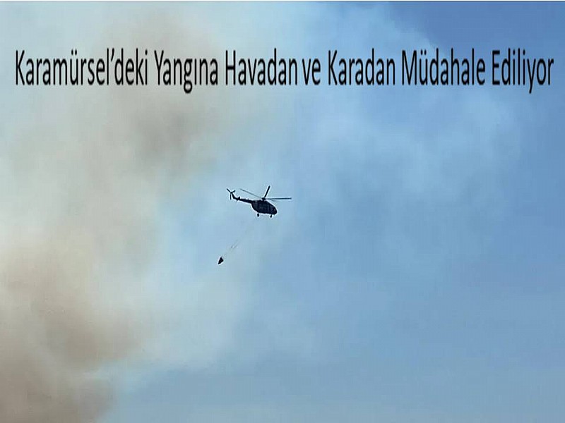 Karamürsel’deki Yangına Havadan ve Karadan Müdahale Ediliyor
