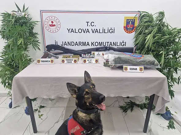 Yalova Altınova’da uyuşturucu operasyonu