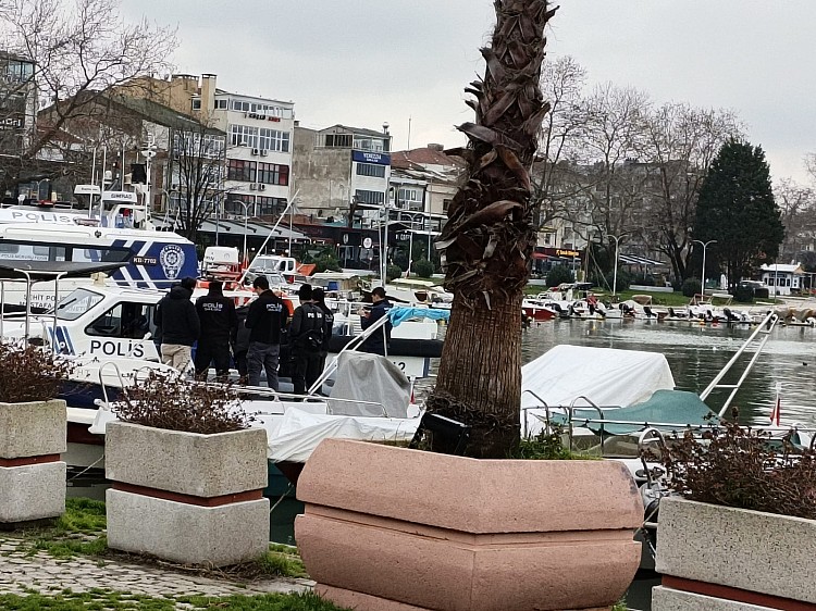 Yalova'da kadın cesedi bulundu